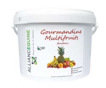 Gourmandine (multifruit) 15 kg - ALLIANCE EQUINE